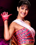 现今印度头号女星Katrina Kaif 24074)