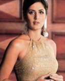 现今印度头号女星Katrina Kaif 24064)