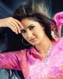 现今印度头号女星Katrina Kaif 24038)