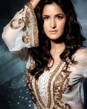 现今印度头号女星Katrina Kaif 24045)