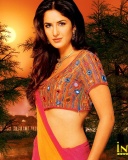 现今印度头号女星Katrina Kaif 24044)