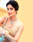 现今印度头号女星Katrina Kaif 24048)