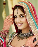 现今印度头号女星Katrina Kaif 24041)