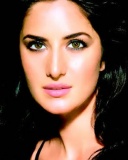 现今印度头号女星Katrina Kaif 24059)