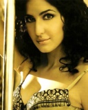 现今印度头号女星Katrina Kaif 24067)