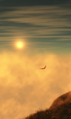 提供几张非常有意境的240x400手机图片 24309)