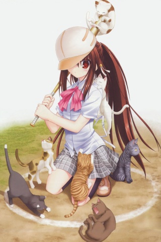 精美动漫猫女手机壁纸 24430)