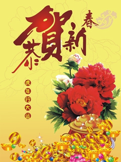 恭贺2010新年快乐行大运！ 24898)