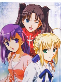 十八禁精美游戏动漫FateStayNight手机图片 25779)
