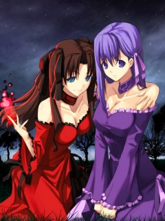 十八禁精美游戏动漫FateStayNight手机图片 25778)