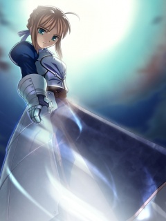 第一人气动漫美眉Saber 25827)