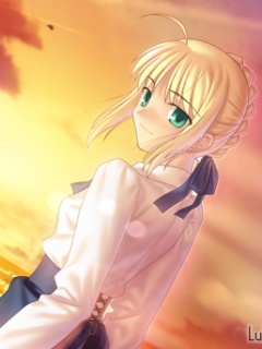 第一人气动漫美眉Saber 25822)