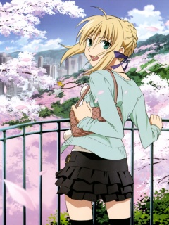 第一人气动漫美眉Saber 25841)