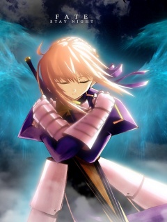第一人气动漫美眉Saber 25835)