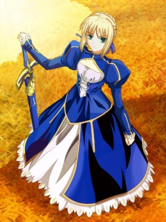 第一人气动漫美眉Saber 25821)