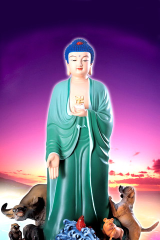 各种样的佛祖像手机图片 25908)
