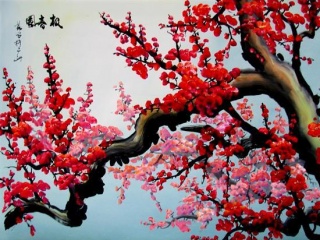 红色和白色梅花手机壁纸 25959)