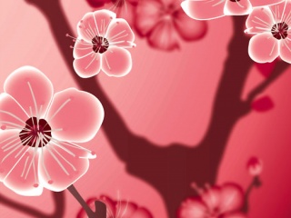 红色和白色梅花手机壁纸 25960)