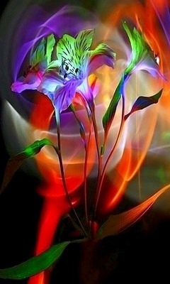 抽象艺术花手机壁纸 26189)