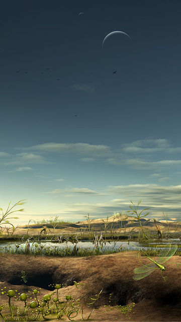 梦幻世界360x640壁纸 26474)