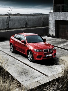 运动型轿车BMW-X6迷人外观 26521)