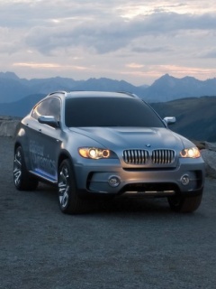 运动型轿车BMW-X6迷人外观 26512)
