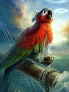美丽鹦鹉绘画壁纸 26604)