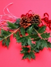 圣诞松果Christmas Pinecone!