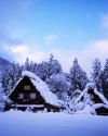 冰天雪地风景图