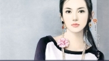 台湾言情小说封面古典美女绘画