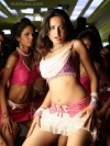 印度美少女安努舒卡·莎玛Anushka Sharma