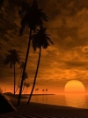夕阳西下