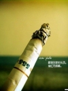个性流行壁纸收集