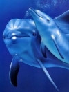 海洋生物