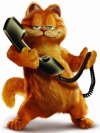 加菲猫