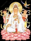 南无观音菩萨图片