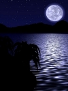月夜