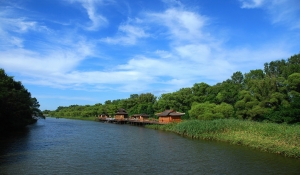 太平河湖畔风光